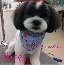 �ȥ�ߥ󥰥���...