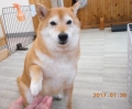 Ƽץƥmomo