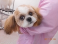 Ƽץƥmomo