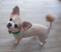 Ƽץƥmomo