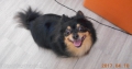 Ƽץƥmomo