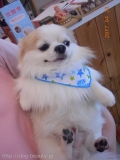 Ƽץƥmomo