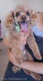 Ƽץƥmomo