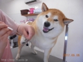 Ƽץƥmomo