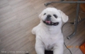 Ƽץƥmomo
