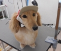 Ƽץƥmomo