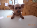 Ƽץƥmomo