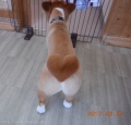 Ƽץƥmomo