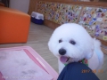 Ƽץƥmomo