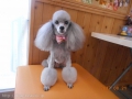 Ƽץƥmomo