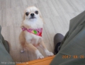 Ƽץƥmomo