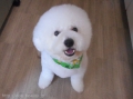 Ƽץƥmomo