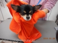 Ƽץƥmomo