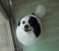 Ƽץƥmomo