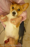 Ƽץƥmomo