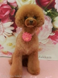 Makkam