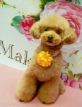 Makkam4