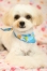 �ޥ���ޤ�ޤ륫�å�