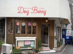 Dog*Berry