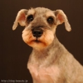 DOGLIKE@SALON