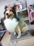 ������饤����