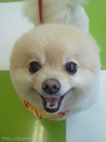 Уţԡ̣ɣƣ