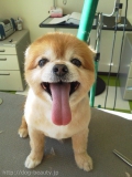 Уţԡ̣ɣƣ