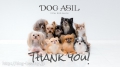 DOG ASIL