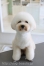 �ޥå���롼��إ�