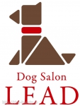 Dog Salon LEAD