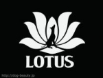 LOTUS DOG Hotel & Salon