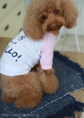ɥå쥯ȥåסȥߥ...