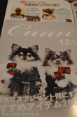 Dogsalon nanny
