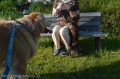 Dogsalon nanny