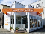 DogDesign CLEO