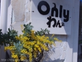 ɥåOnly