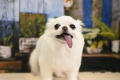 륷å