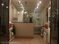 ANIER-Dog Grooming Room-