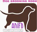 ANIER-Dog Grooming Room-