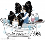 dog salon le coeur