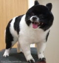 ݤݤå