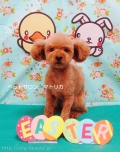 Babyޤ