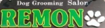 REMON