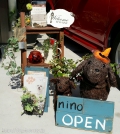 dog salon nino