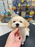 ᤹äޤݥƥǥ