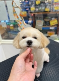 ᤹äޤݥƥǥ