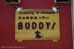 ƼBUDDY!