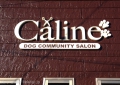 DOG COMMUNITY SALON  ꡼