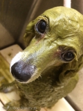DogSalon SnipSnip