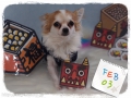 DOGsalon Pang